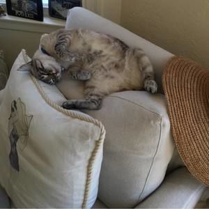 Meet your Posher, Kristine